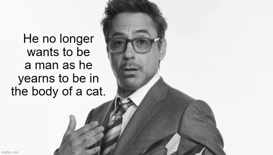 Robert Downey Jr's Comments | He no longer wants to be a man as he yearns to be in the body of a cat. | image tagged in robert downey jr's comments | made w/ Imgflip meme maker