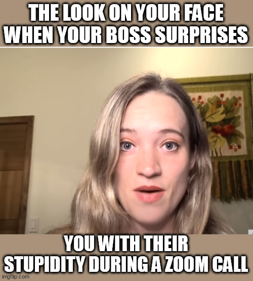 The look on your face when your boss surprises you with their stupidity during a zoom call | THE LOOK ON YOUR FACE WHEN YOUR BOSS SURPRISES; YOU WITH THEIR STUPIDITY DURING A ZOOM CALL | image tagged in surprise,funny,work,boss,stupidity,zoom | made w/ Imgflip meme maker