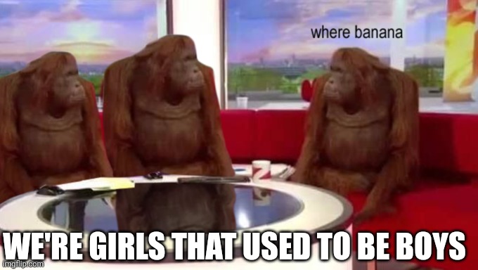 where banana | WE'RE GIRLS THAT USED TO BE BOYS | image tagged in where banana | made w/ Imgflip meme maker