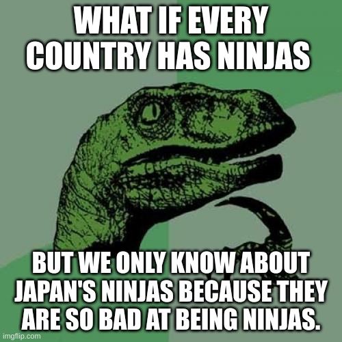 Deep Thoughts #5 | WHAT IF EVERY COUNTRY HAS NINJAS; BUT WE ONLY KNOW ABOUT JAPAN'S NINJAS BECAUSE THEY ARE SO BAD AT BEING NINJAS. | image tagged in memes,philosoraptor,deep thoughts,oh wow are you actually reading these tags,barney will eat all of your delectable biscuits | made w/ Imgflip meme maker