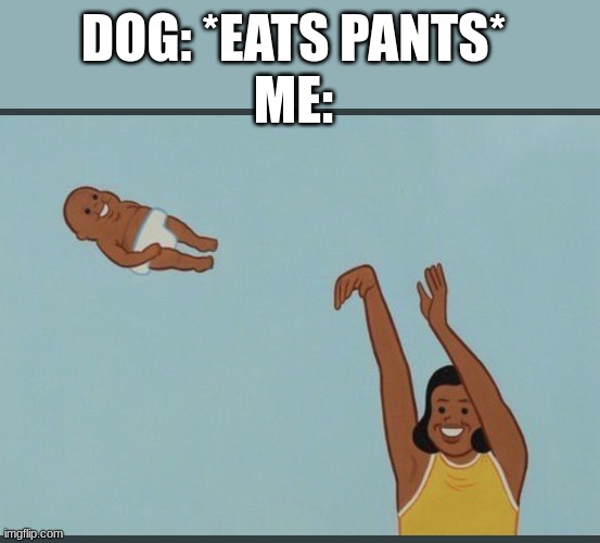 baby yeet | DOG: *EATS PANTS*
ME: | image tagged in baby yeet | made w/ Imgflip meme maker