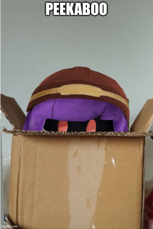 Doll plush | PEEKABOO | image tagged in doll plush | made w/ Imgflip meme maker