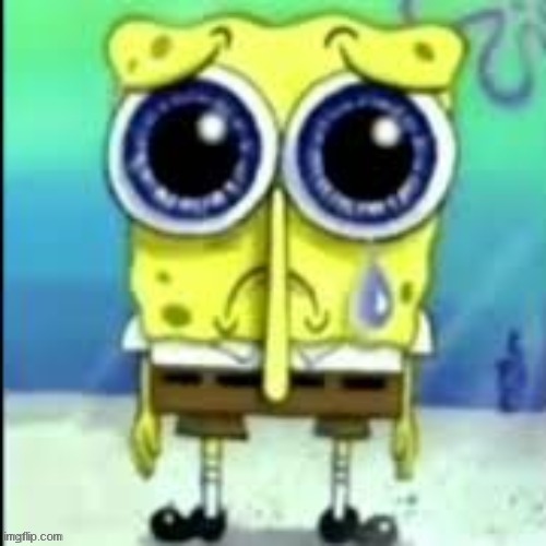 Spongebob Cry | image tagged in spongebob cry | made w/ Imgflip meme maker