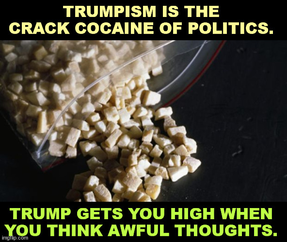 And it's addictive. | TRUMPISM IS THE 
CRACK COCAINE OF POLITICS. TRUMP GETS YOU HIGH WHEN 
YOU THINK AWFUL THOUGHTS. | image tagged in trump,addiction,crack,cocaine,drugs,politics | made w/ Imgflip meme maker