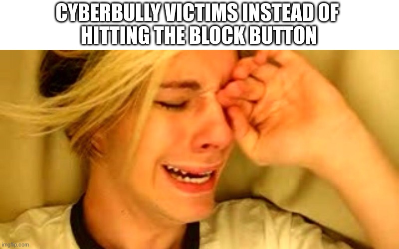 real | CYBERBULLY VICTIMS INSTEAD OF 
HITTING THE BLOCK BUTTON | image tagged in leave brittany alone guy,cyberbullying,maybe a repost | made w/ Imgflip meme maker
