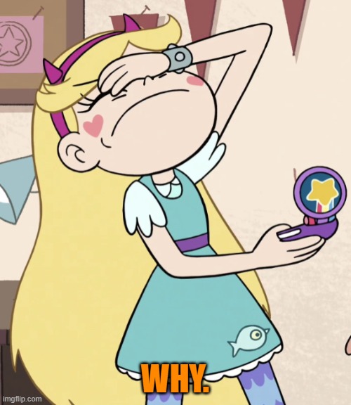 Star Butterfly Facepalm | WHY. | image tagged in star butterfly facepalm | made w/ Imgflip meme maker