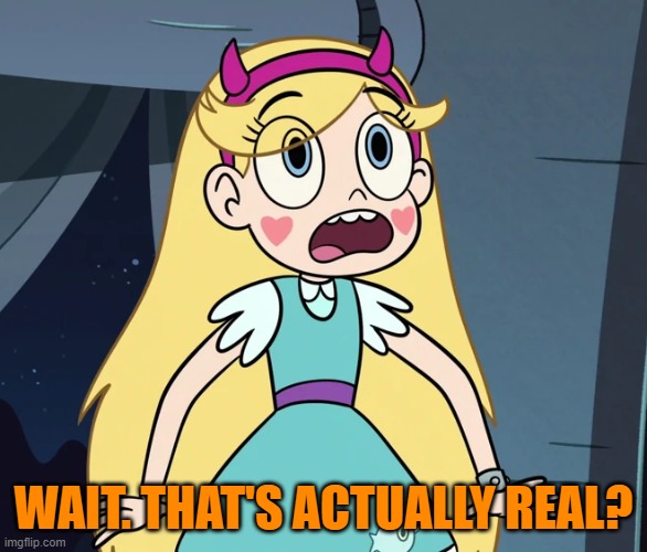 Star Butterfly shocked | WAIT. THAT'S ACTUALLY REAL? | image tagged in star butterfly shocked | made w/ Imgflip meme maker