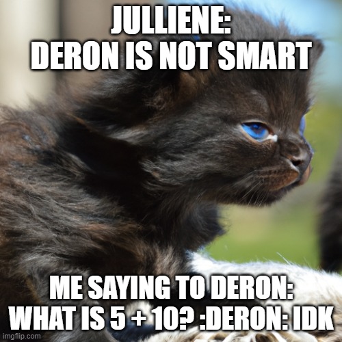 MY school meme | JULLIENE: DERON IS NOT SMART; ME SAYING TO DERON: WHAT IS 5 + 10? :DERON: IDK | image tagged in cute cats | made w/ Imgflip meme maker