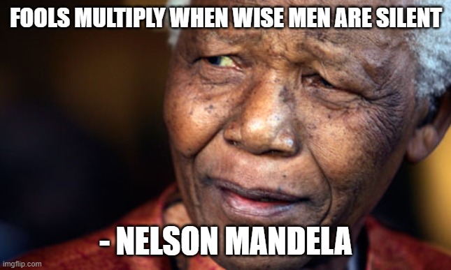 Nelson Mandela Quote | FOOLS MULTIPLY WHEN WISE MEN ARE SILENT; - NELSON MANDELA | image tagged in nelson mandella people | made w/ Imgflip meme maker