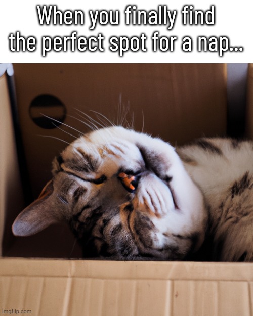 It's true though..... | When you finally find the perfect spot for a nap... | image tagged in ai template,memes,funny,napping | made w/ Imgflip meme maker