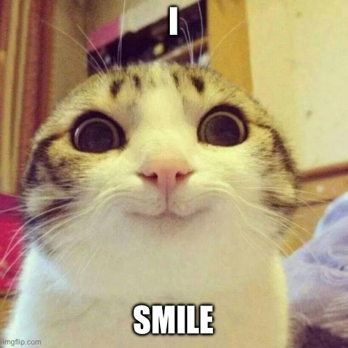 Smiling cat | I; SMILE | image tagged in memes,smiling cat | made w/ Imgflip meme maker