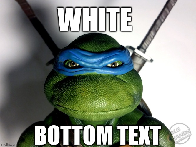 white | WHITE; BOTTOM TEXT | image tagged in funny,memes,tmnt | made w/ Imgflip meme maker