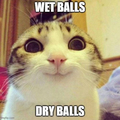 How do you like your balls | WET BALLS; DRY BALLS | image tagged in memes,smiling cat | made w/ Imgflip meme maker