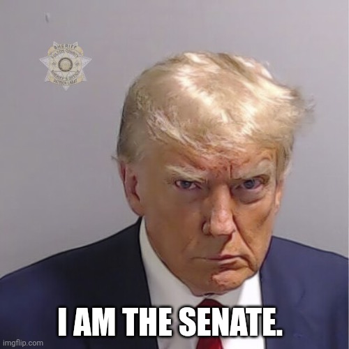 Trump mug shot | I AM THE SENATE. | image tagged in trump mug shot | made w/ Imgflip meme maker