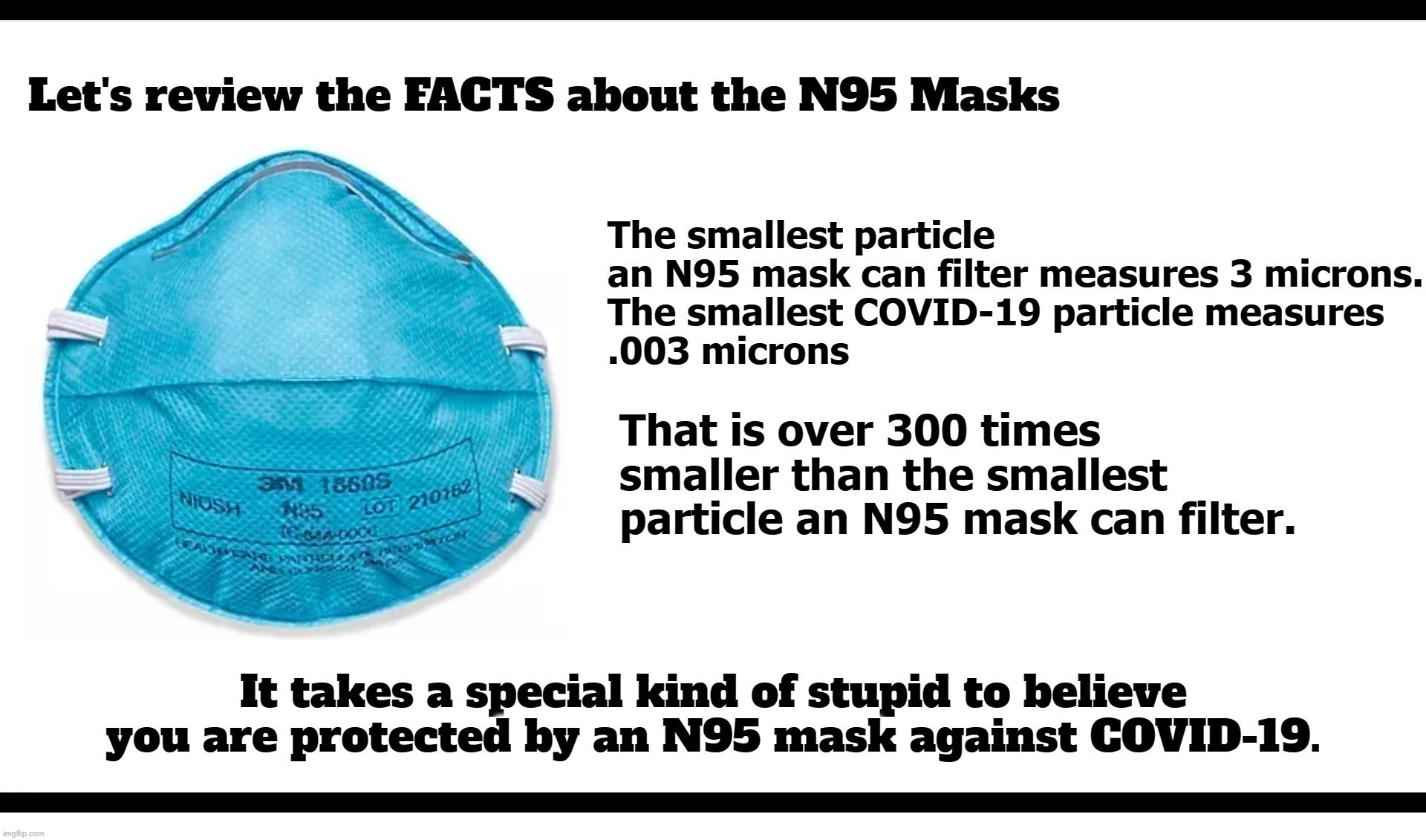 Let's review the FACTS about the N95 Masks | image tagged in the mask,special kind of stupid,special education,covidiots,sheeple | made w/ Imgflip meme maker