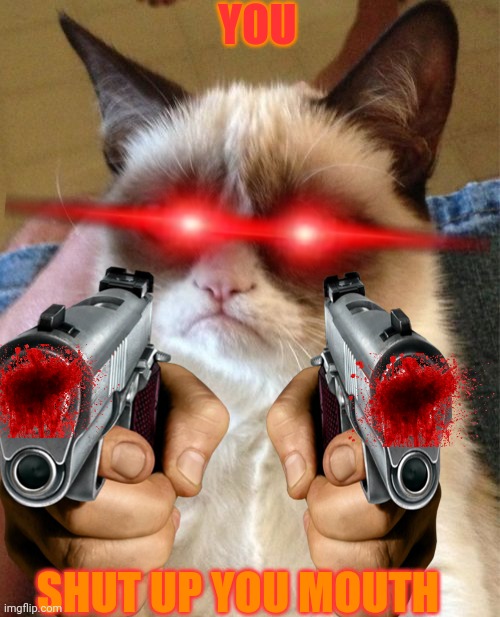 Grumpy Cat Meme | YOU SHUT UP YOU MOUTH | image tagged in memes,grumpy cat | made w/ Imgflip meme maker