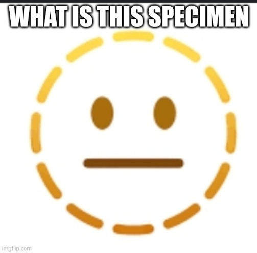 -_- | WHAT IS THIS SPECIMEN | image tagged in -_- | made w/ Imgflip meme maker