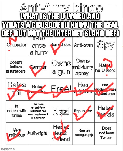 check template if you cant see words on bingo sheet | WHAT IS THE U WORD AND WHATS A CRUSADER(I KNOW THE REAL DEF BUT NOT THE INTERNET SLANG DEF) | image tagged in anti-furry bingo | made w/ Imgflip meme maker