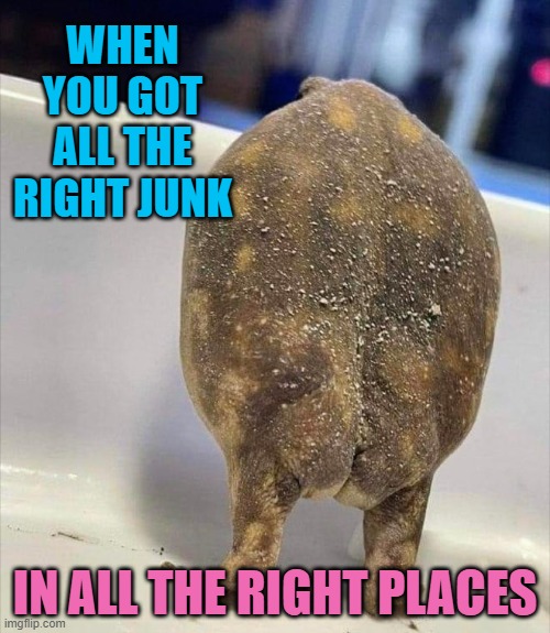 WHEN YOU GOT ALL THE RIGHT JUNK; IN ALL THE RIGHT PLACES | image tagged in toad,butt | made w/ Imgflip meme maker