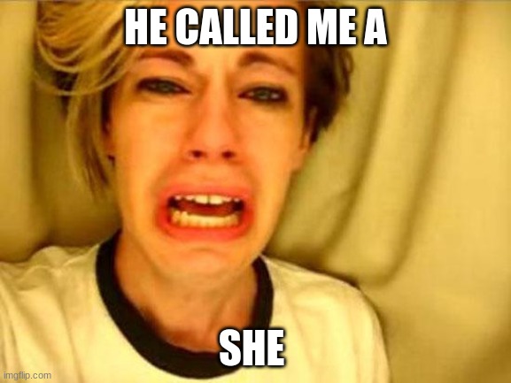LIB BREAKDOWN | HE CALLED ME A; SHE | image tagged in leave britney alone | made w/ Imgflip meme maker