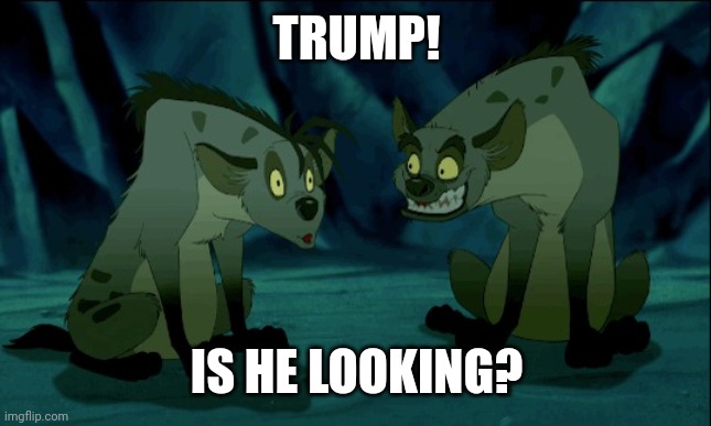 Mufasa | TRUMP! IS HE LOOKING? | image tagged in mufasa | made w/ Imgflip meme maker