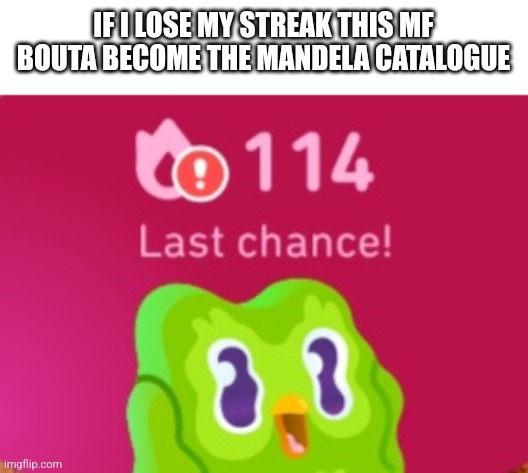 IF I LOSE MY STREAK THIS MF BOUTA BECOME THE MANDELA CATALOGUE | image tagged in duolingo | made w/ Imgflip meme maker
