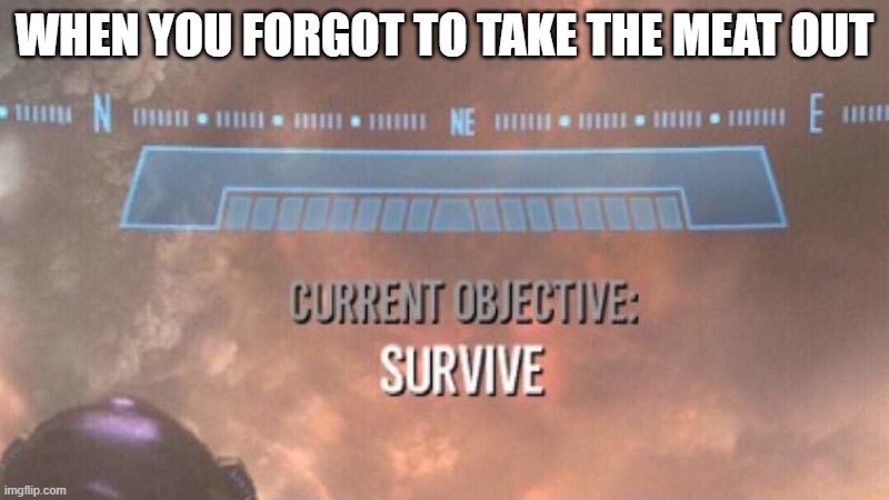 Current Objective: Survive | WHEN YOU FORGOT TO TAKE THE MEAT OUT | image tagged in current objective survive | made w/ Imgflip meme maker