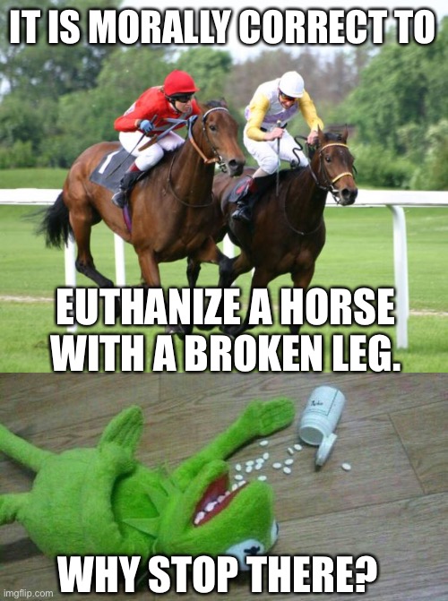 IT IS MORALLY CORRECT TO EUTHANIZE A HORSE WITH A BROKEN LEG. WHY STOP THERE? | image tagged in two horses racing,kermit overdose | made w/ Imgflip meme maker