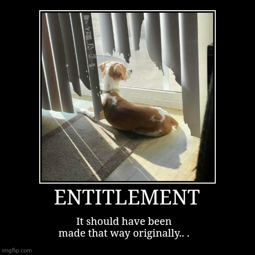 ENTITLEMENT | It should have been
made that way originally.. . | image tagged in funny,demotivationals,dogs,entitled,window blinds | made w/ Imgflip demotivational maker