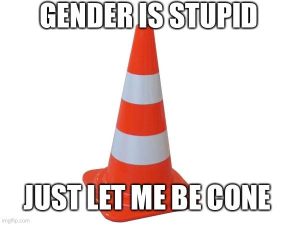 Let me be cone | GENDER IS STUPID; JUST LET ME BE CONE | image tagged in no | made w/ Imgflip meme maker