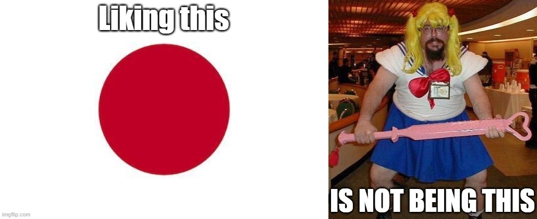 We can like Japan without being a weeb, WHATS WRONG WITH JAPAN???? | Liking this; IS NOT BEING THIS | image tagged in japan,super weeb | made w/ Imgflip meme maker