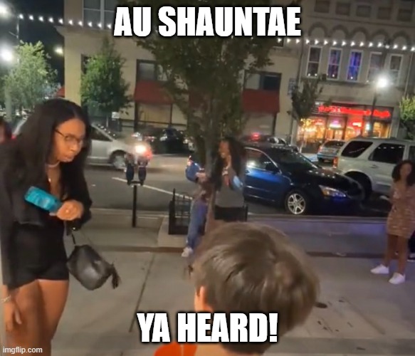 Theft and destruction of property | AU SHAUNTAE; YA HEARD! | image tagged in street,destruction | made w/ Imgflip meme maker