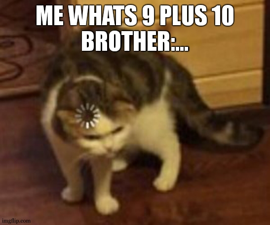 what is 9 plus 10 | ME WHATS 9 PLUS 10
BROTHER:... | image tagged in loading cat | made w/ Imgflip meme maker