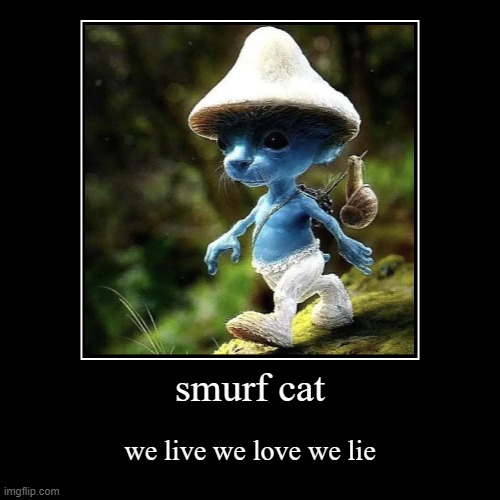 smurf cat | smurf cat | we live we love we lie | image tagged in funny,demotivationals,smurf,cat | made w/ Imgflip demotivational maker