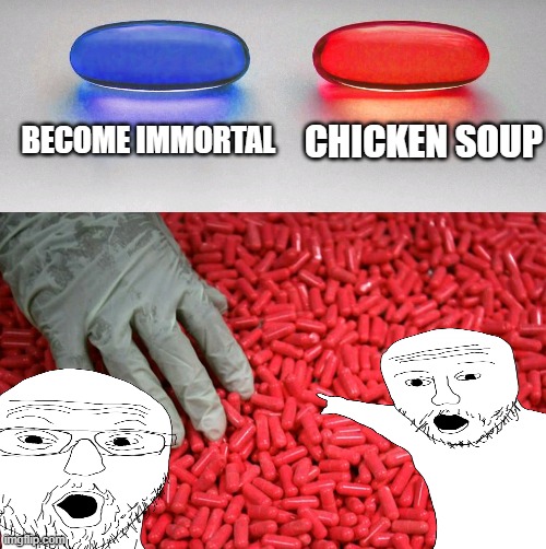 Blue or red pill | BECOME IMMORTAL; CHICKEN SOUP | image tagged in blue or red pill | made w/ Imgflip meme maker