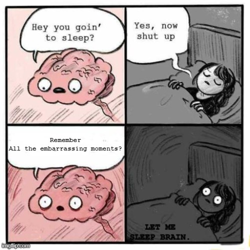 When The Embarrassing moments hit you. | Remember
All the embarrassing moments? LET ME SLEEP BRAIN. | image tagged in hey you going to sleep | made w/ Imgflip meme maker