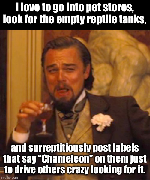 Dad joke | I love to go into pet stores, look for the empty reptile tanks, and surreptitiously post labels that say “Chameleon” on them just to drive others crazy looking for it. | image tagged in memes,laughing leo | made w/ Imgflip meme maker