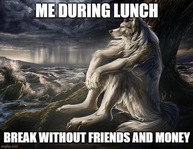 Wolf | ME DURING LUNCH; BREAK WITHOUT FRIENDS AND MONEY | image tagged in memes,work | made w/ Imgflip meme maker