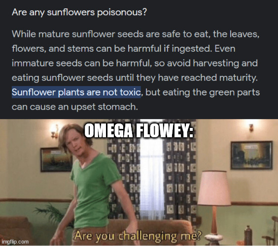 Don't tell this again | OMEGA FLOWEY: | image tagged in are you challenging me,undertale meme | made w/ Imgflip meme maker