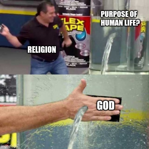 Bad Counter | PURPOSE OF HUMAN LIFE? RELIGION; GOD | image tagged in bad counter | made w/ Imgflip meme maker