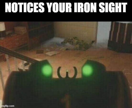 iron sight | NOTICES YOUR IRON SIGHT | image tagged in gaming | made w/ Imgflip meme maker