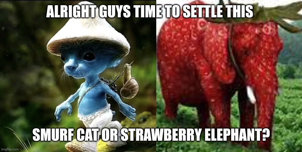 we live, we love, we lie <3 | ALRIGHT GUYS TIME TO SETTLE THIS; SMURF CAT OR STRAWBERRY ELEPHANT? | image tagged in blue smurf cat,strawberry elephant,smurf cat,memes,we live we love we lie,popular memes | made w/ Imgflip meme maker