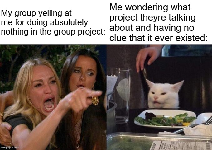 i promise its not intentional! | My group yelling at me for doing absolutely nothing in the group project:; Me wondering what project theyre talking about and having no clue that it ever existed: | image tagged in memes,woman yelling at cat,school,group projects,funny,dank memes | made w/ Imgflip meme maker