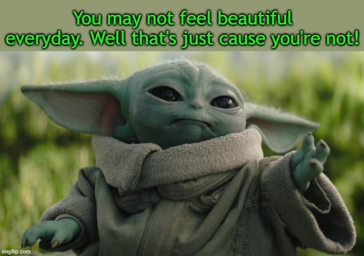 grogu | You may not feel beautiful everyday. Well that's just cause you're not! | image tagged in funny | made w/ Imgflip meme maker