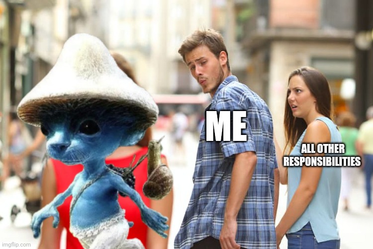 Smurf Cat is most important | ME; ALL OTHER RESPONSIBILITIES | image tagged in memes,distracted boyfriend,smurf cat | made w/ Imgflip meme maker