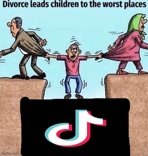don't download tiktok | image tagged in memes,divorce leads children to the worst places,tiktok,funny | made w/ Imgflip meme maker