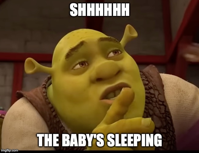 Shrek | SHHHHHH; THE BABY'S SLEEPING | image tagged in shrek,memes,the incredibles,syndrome,syndrome incredibles,dank | made w/ Imgflip meme maker