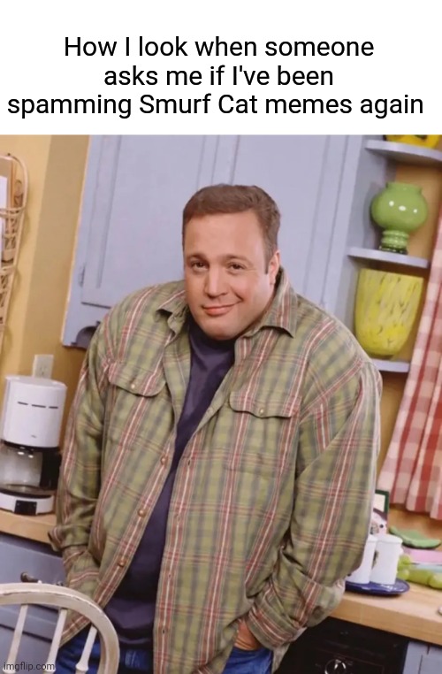 Maybe | How I look when someone asks me if I've been spamming Smurf Cat memes again | image tagged in kevin james shrug,kevin james,smurf cat,memes | made w/ Imgflip meme maker
