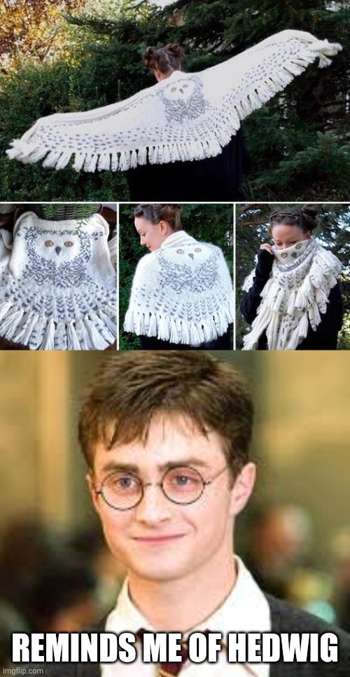 A HEDWIG TIBUTE? | REMINDS ME OF HEDWIG | image tagged in harry potter,harry potter meme,hedwig | made w/ Imgflip meme maker
