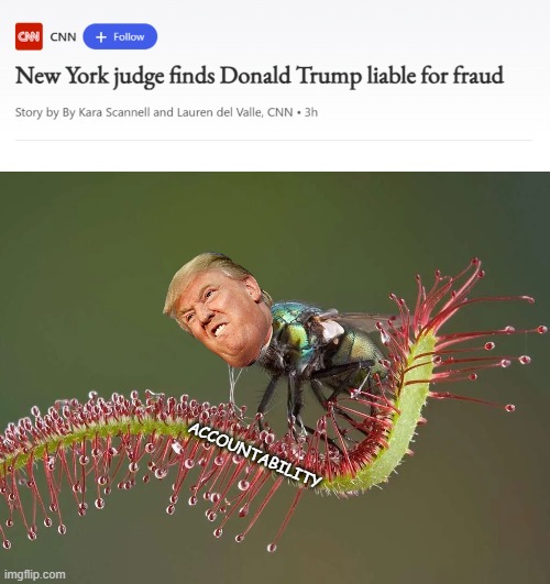 "'Nuff said." *OR* "#P01135809" *OR* "Lucilia sericata AKA 'sh-t fly'" | ACCOUNTABILITY | image tagged in sundew,trump unfit unqualified dangerous,crooked,criminal,loser,moron | made w/ Imgflip meme maker